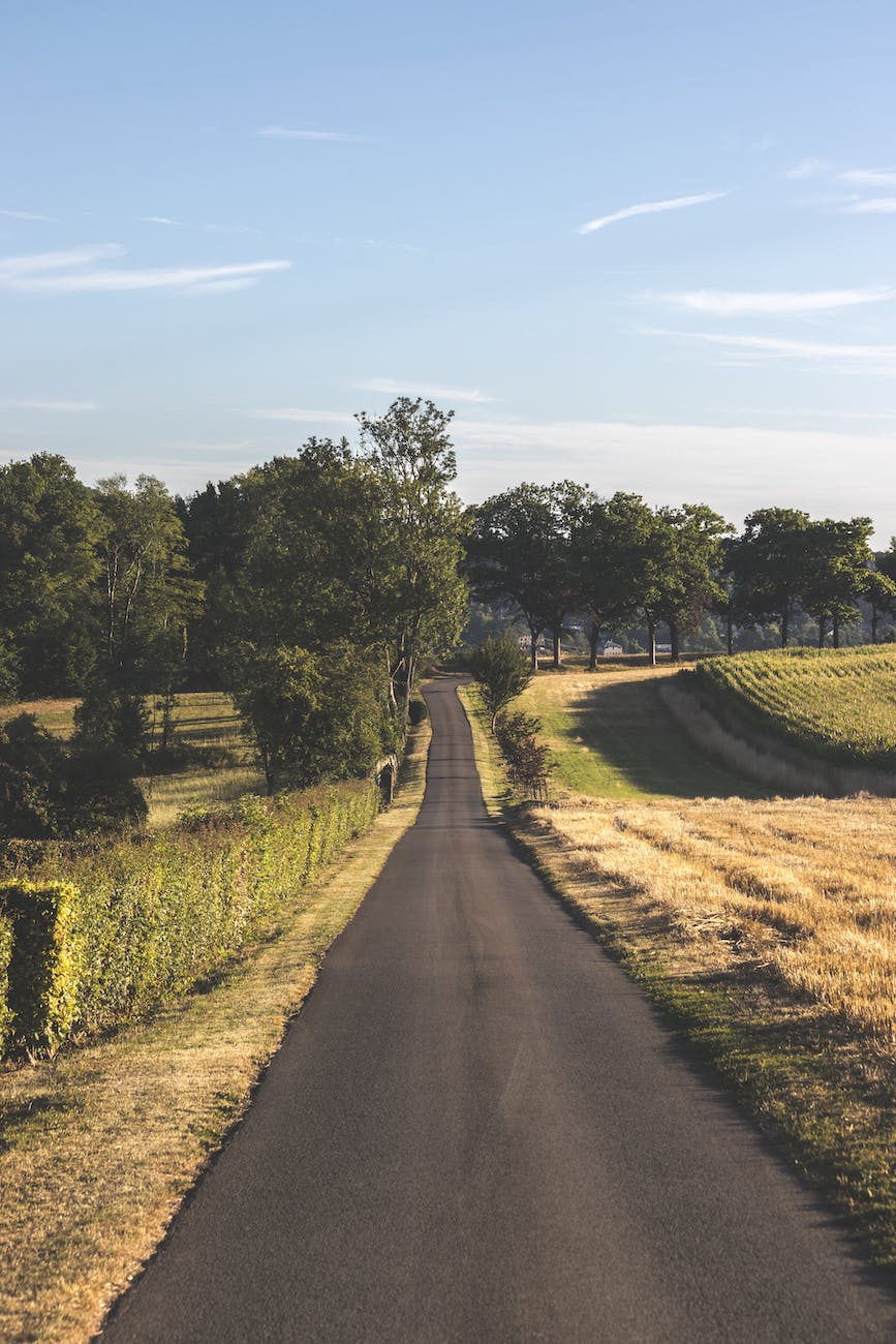 Caleb’s Story: My Mind’s&nbsp;Dissonance