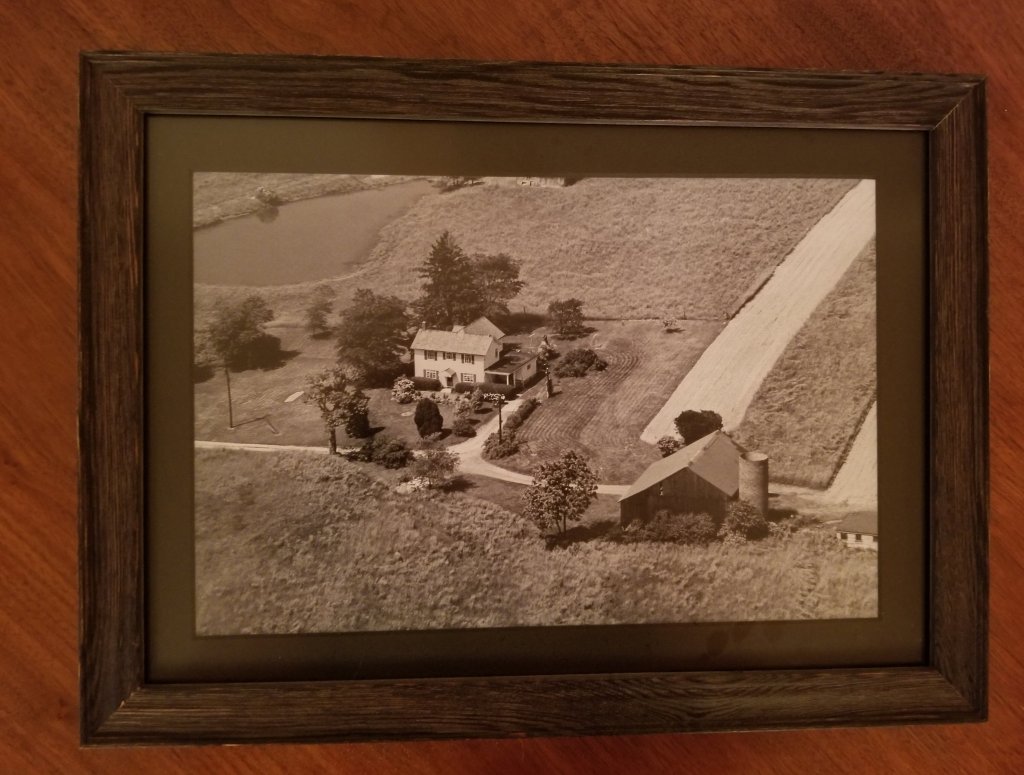 The Girl in the&nbsp;Plane